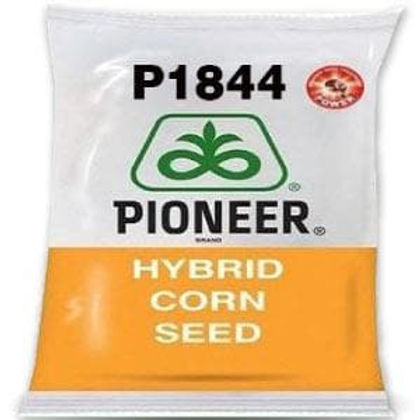 PIONEER 1844