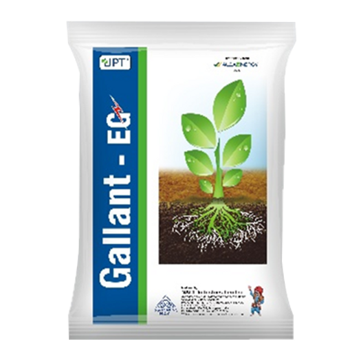 Gallant EG 4KG (Arbuscular Mycorrhizal Fungi (AMF) – Bio Fertilizer)