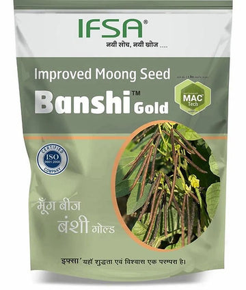 IFSA Banshi Gold