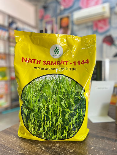 Samrat 1144 | Fodder Maize