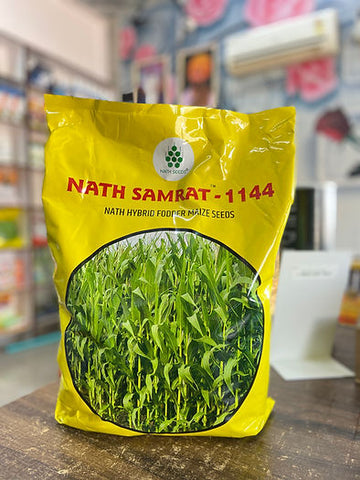 Samrat 1144 | Fodder Maize