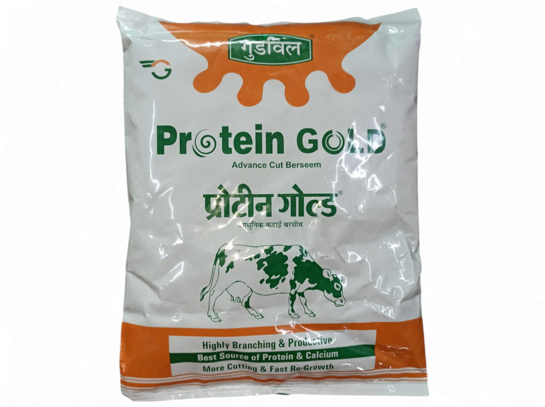 Protien Gold | Berseem Seed| 1KG