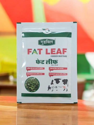 Goodwill fat leaf | Multi-cut chinese mustard seed 50gm