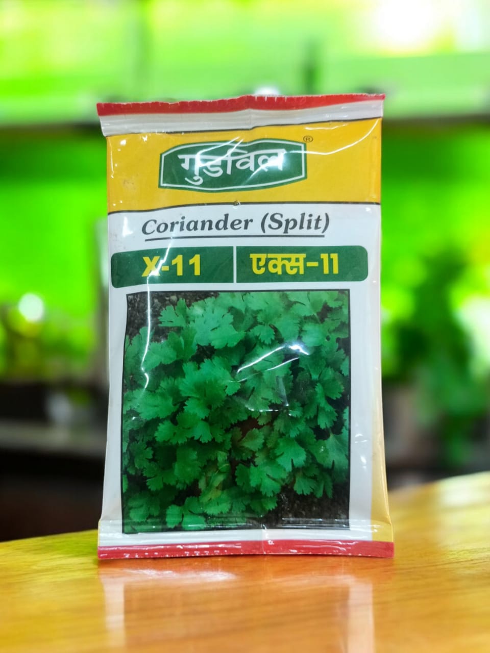 Goodwill Coriander (Split) | Coriander seeds for garden